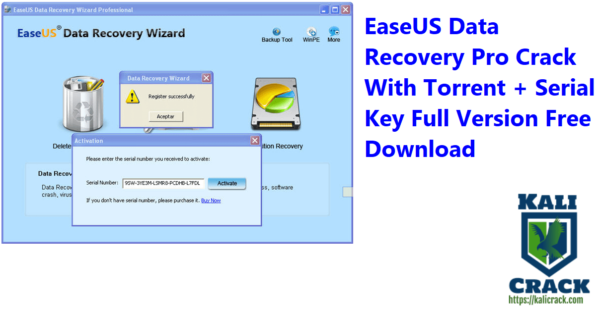ease scan tool crack
